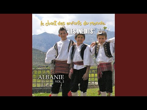 Partisane ne lufte po shkonte (Le partisan va à la guerre)