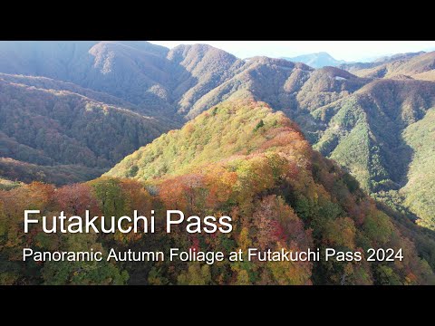 [4K] Futakuchi Pass 🍁 Autumn Leaves in 2024 / 二口峠の紅葉🍂✨