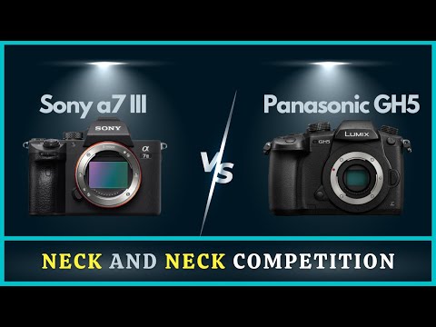 Panasonic GH5 vs Sony a7III | Gamechanger Mirrorless Camera?
