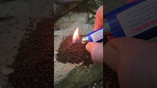 Using coffee grounds to keep mosquitos away