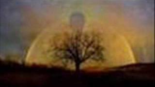 Max Richter ft. Stijn buysse - Shervin's Sunlight.wmv