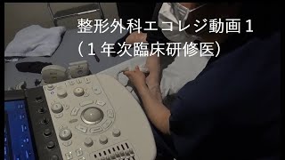 整形外科エコレジ1/1年次臨床研修医/2021年8月23日