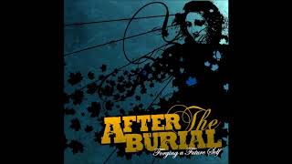 Isolation Theory - After The Burial Instrumental Cover