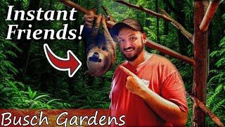 We Met a Sloth and Became Instant Friends! Sloth Inside Tour
