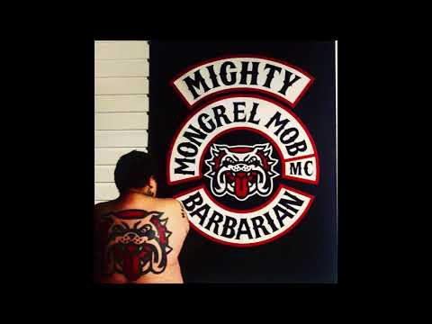 THE LIZM MAS DOG X TEMM DOG