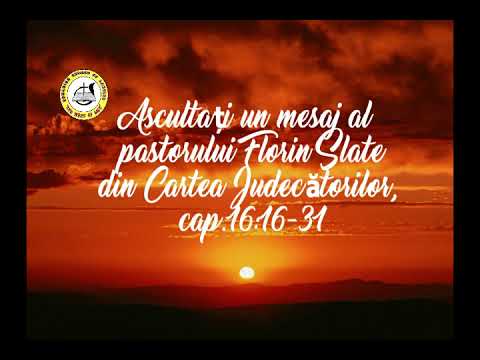 Florin Slate - Lectii din Alunecarea lui Samson