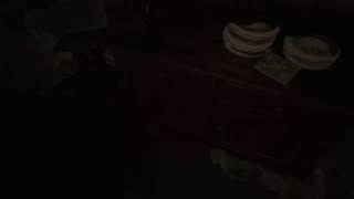 【バイオハザード7】全く知らんけどやってみる