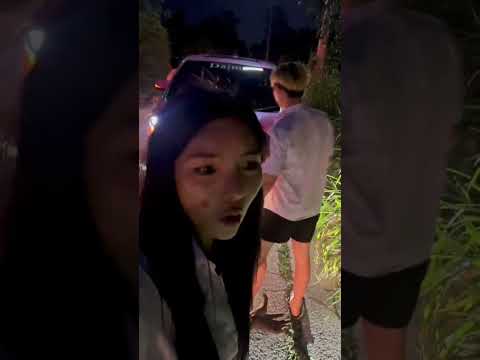 ทาสหมาใจสลาย ใครที่สนใจจะเลี้ยงน้องติดต่อมานะคะ#หมาจร