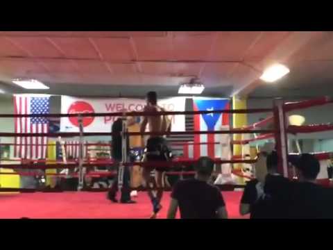 Lions Roar Muay Thai
