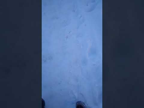 download lagu mp3 mp4 Mp3 Face Baby, download lagu Mp3 Face Baby gratis, unduh video klip Mp3 Face Baby