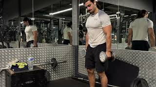 Alternating Dumbell Curl