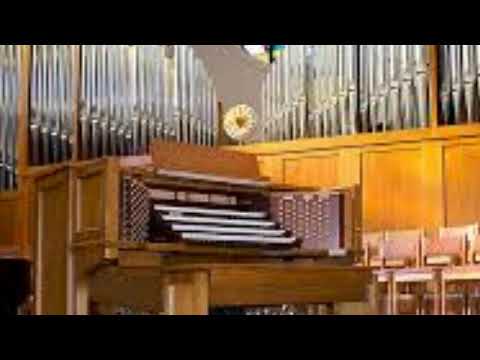 Organista San Giorgio Piacentino