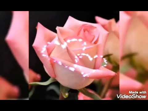 ❤️ FOI UM GOLPE FATAL ❤️