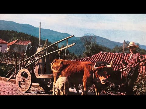 Cantares au Desafio Manuel Alves Peta e Manuel Pereira da Apúlia - O tema "O Melro"