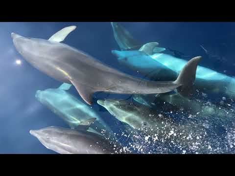 Segelferien Griechenland 2019