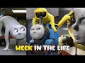 Week In The Life Bone Thief And Thomas Train