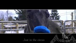 When you're gone... colours seem to fade