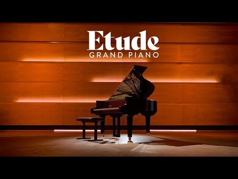 Free Download Steinberg Etude for HALion