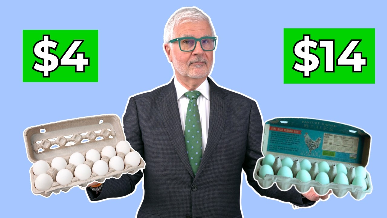 STOP Wasting Money on Expensive Eggs Until You See This!
