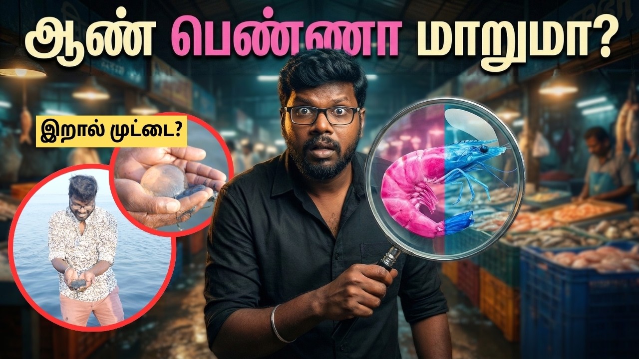The Bizarre History of Prawns | இறால் ஆண் பெண்ணா மாறுமா? | Big Bang Bogan