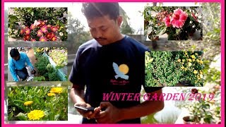 Winter Garden 2019