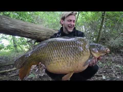 Giant Common Carp - SBS Germany - Michael Nürenberg