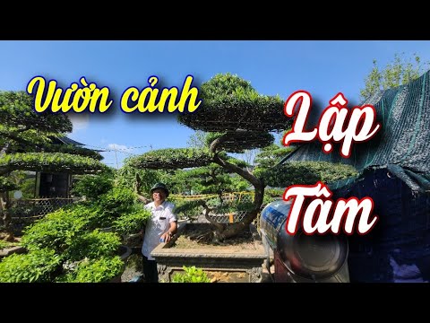 SH.6339. Visit the beautiful landscape garden of Lap Tam. Chu Van An Street, Thanh Tri, Hanoi. Te...