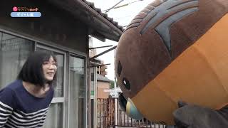 2026/1/19放送・知ったかぶりカイツブリにゅーす