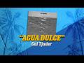 Agua Dulce - Cal Tjader