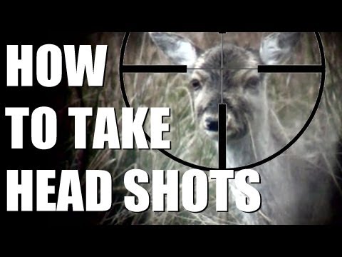 Fieldsports Britain : Fallow deer cull + grayling on the Kennet Fieldsports Britain : Fallow deer cull + grayling on the Kennet