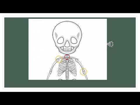 Questionner le monde  -  Les mouvements corporels [partie 2]