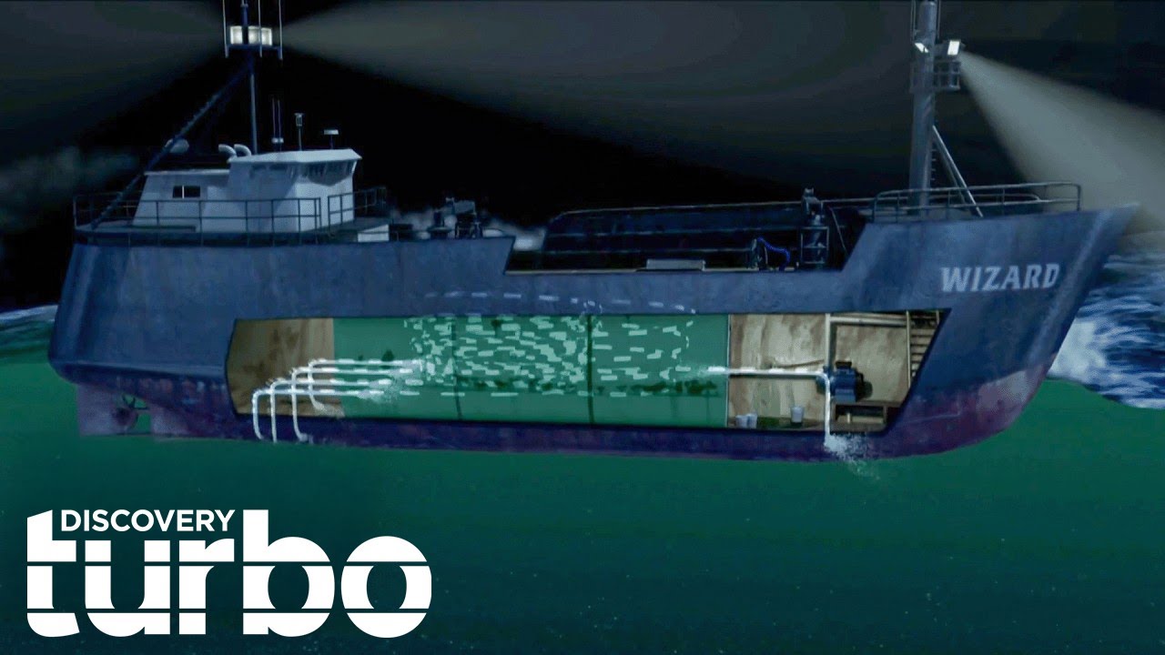 YouTube Thumbnail Downloader FULL HQ IMAGE