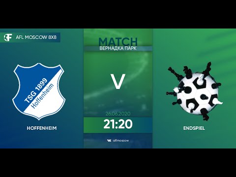 AFL20. Germany. Bundesliga. Day 3. HOFFENHEIM - ENDSPIEL