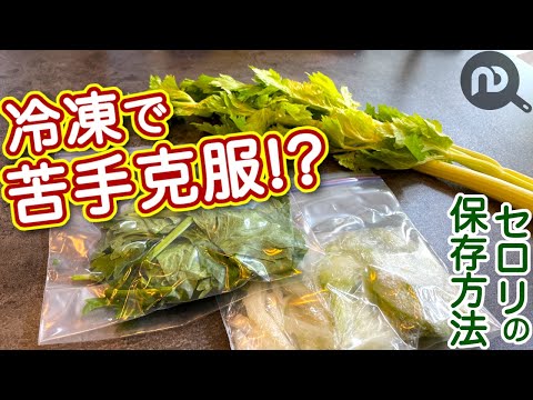 セロリの冷凍:これが一番良い方法です 植物