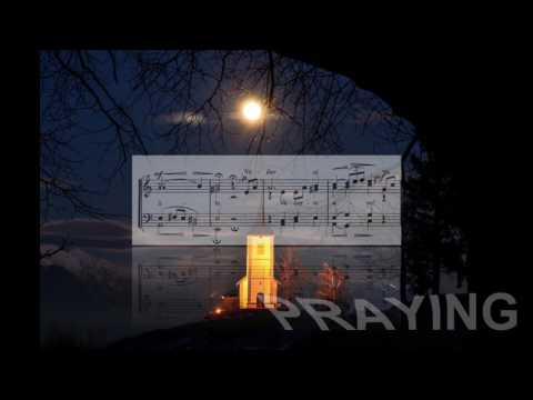 Foerster PAZVV Večerni ave 02