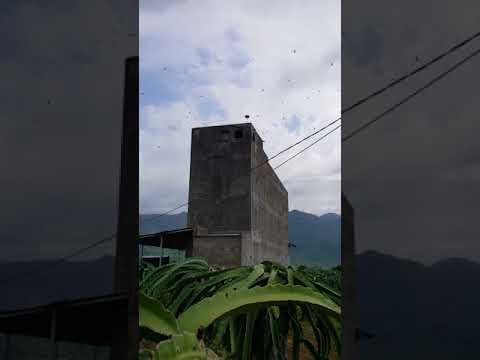 Teset âm thanh tại Sông Mao - Bắc Bình - Bình Thuận