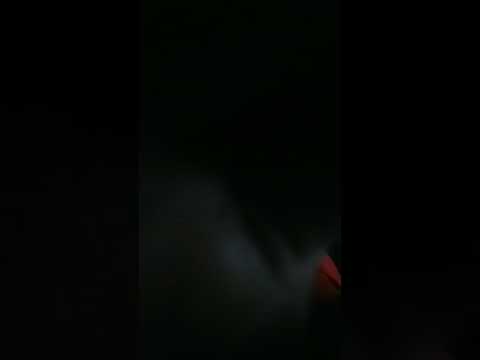 Thotthots younggucci