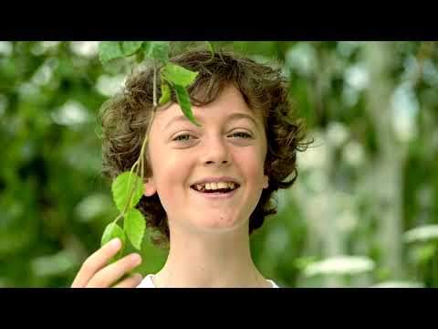 I diritti degli alberi - I Piccoli Cantori di Milano