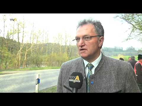 Blaues Licht für die Sicherheit: Jagdverband will mit Reflektoren Wildunfälle vermeiden