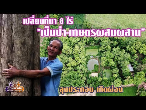 "เปลี่ยนที่นา 8 ไร่ เป็นป่า-เกษตรผสมผสาน" ลุงประกอบ เกิดผ่อง//สามอาชีพฯ