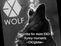 EXO 늑대와 미녀 (Wolf) [MP3/DL/INSTRU] (Korean ...