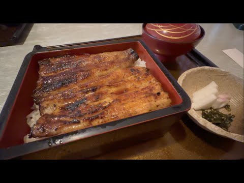 Deliciosa anguila de la prefectura de Yamanashi “Shotokuji Onsen Hatsuka”