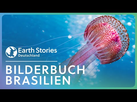 Doku: Atemberaubendes Brasilien | Ein Paradies an der Küste