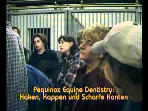 Trailer für DVD "Haken, Kappen und scharfe Kanten"