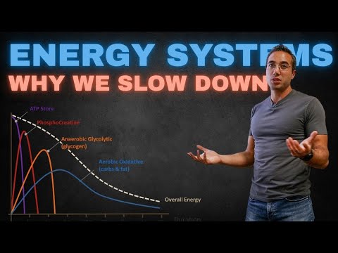 Why Do We Slow Down? thumbnail