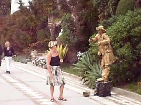 Shelder`s and the Cheeky Pirate