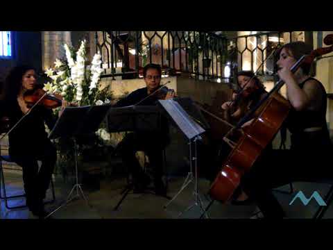 Cuarteto de Cuerda