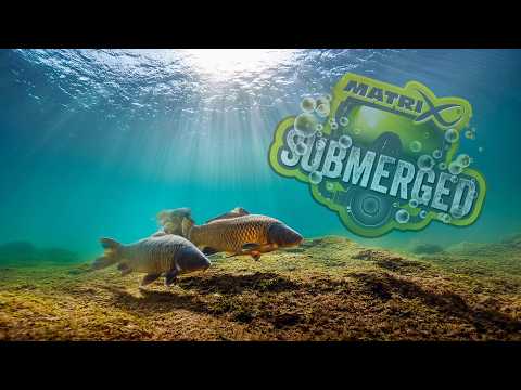 UNDERWATER METHOD FEEDER MADNESS! 🤯 Do NOT make this BIG MISTAKE!