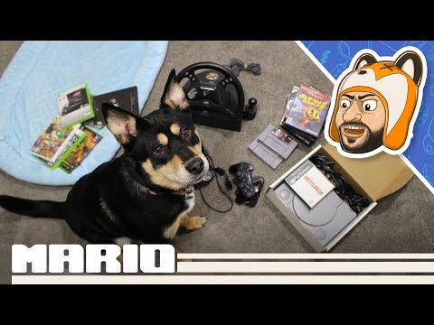 Thrifty Gaming Pickups: $0.50 PS1 & $1 Media Sale! - Episode 26