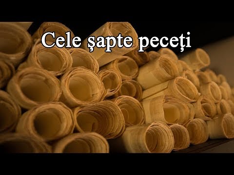 Studiul 05 - Cele șapte peceți